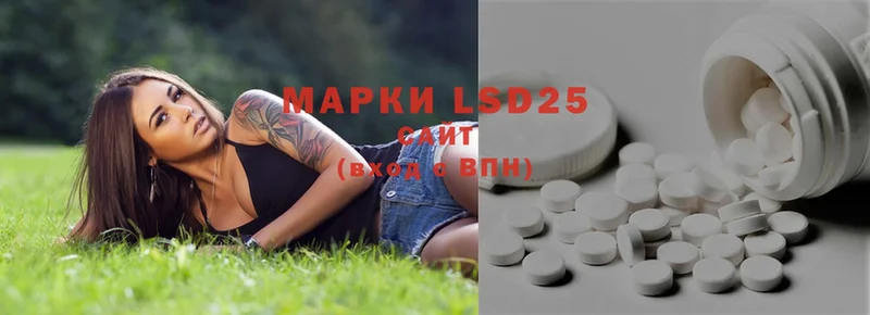 LSD-25 экстази кислота  omg вход  Новороссийск 